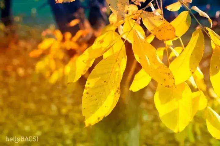 Tại Sao Người Sắp Qua Đời Thường Ngưng Ăn Uống Và Ngủ Nhiều?