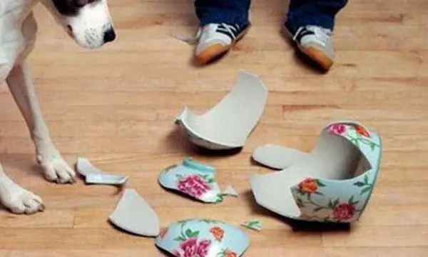 Làm Đổ Vỡ Đồ Đạc Như Bát, Đĩa, Ly Cốc Hay Gương Vào Buổi Sáng Có Ý Nghĩa Gì? Làm Đổ Vỡ Đồ Đạc Như Bát, Đĩa, Ly Cốc Hay Gương Vào Buổi Sáng Có Ý Nghĩa Gì?