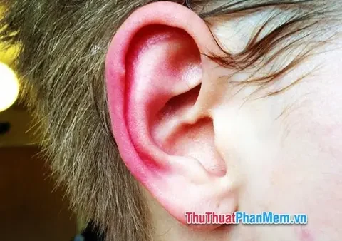 Giải Mã Hiện Tượng Nóng Tai Phảỉ Ở Nữ Là Điềm Gì? Điềm Báo Tốt Hay Xấu Theo Khung Giờ