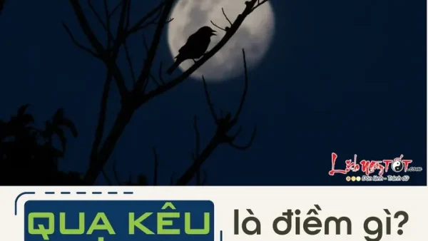 Quạ Kêu Gần Nhà Là Điềm Gì? Giải Mã Chi Tiết Điềm Báo Lành Hay Dữ Theo Dân Gian Và Khoa Học