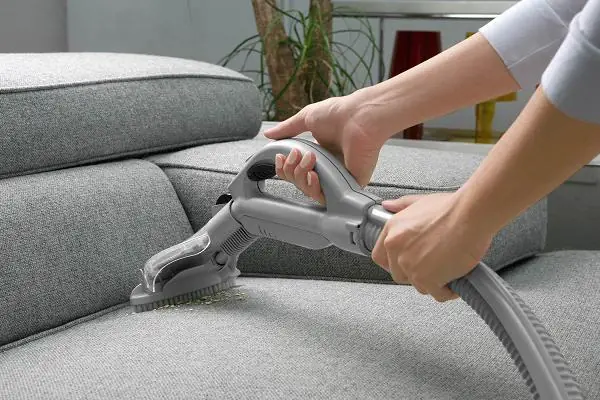 Vì Sao Rết Thường Bò Vào Nhà Tìm Chỗ Trú Ngụ?