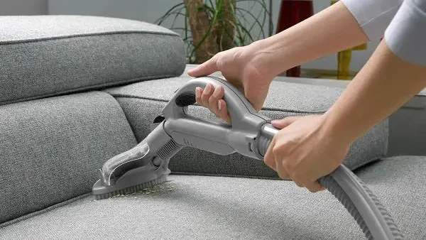 Rết Vào Nhà Điềm Báo Gì? Giải Mã Lành Dữ Và Cách Xử Lý An Toàn