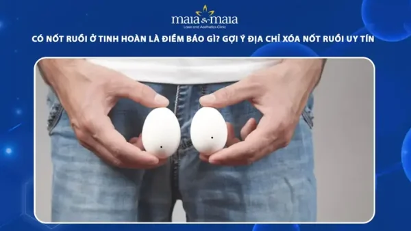 Giải Mã Hiện Tượng Ruồi Nhiều Bất Thường Là Điềm Gì Về Tướng Số Và Sức Khỏe