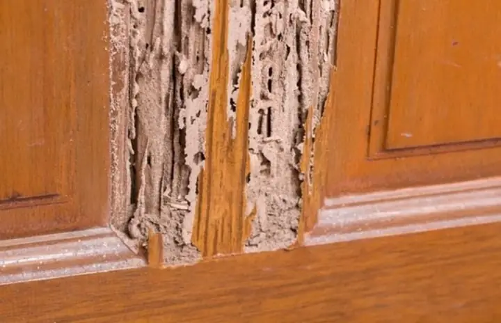 Bàn Thờ Bị Rơi Do Chất Liệu Gỗ Kém Hoặc Mối Mọt Tàn Phá