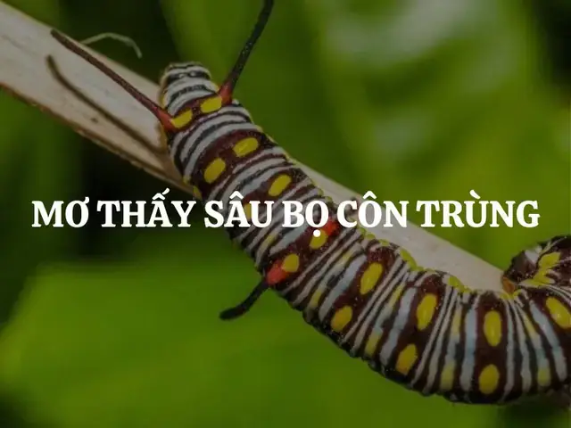 Điềm Báo Khi Sâu Bò Hoặc Rơi Vào Tay, Chân Điềm Báo Khi Sâu Bò Hoặc Rơi Vào Tay, Chân
