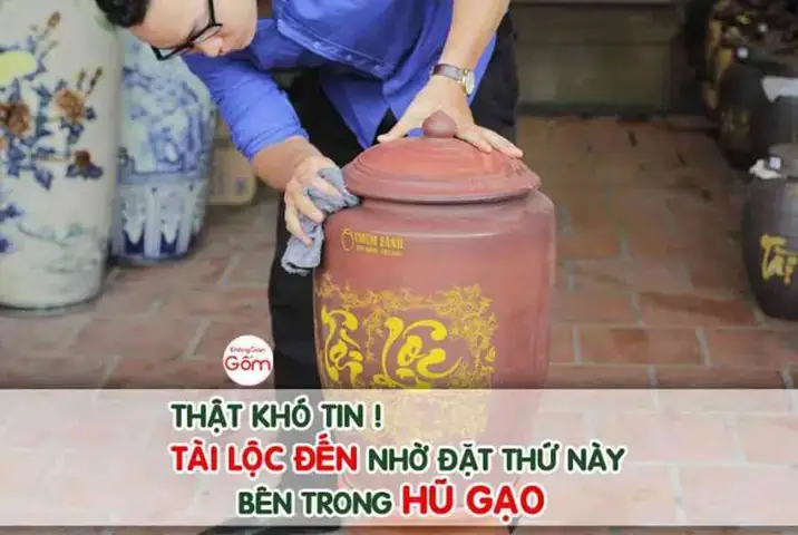 Nên Phơi Áo Ở Vị Trí Nào Để Tránh Sâu Róm Từ Cây Cối Bò Vào? Nên Phơi Áo Ở Vị Trí Nào Để Tránh Sâu Róm Từ Cây Cối Bò Vào?