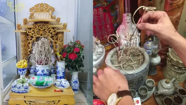 Tàn Nhang Cong Là Điềm Gì? Giải Mã Hiện Tượng Nhang Cuốn Tàn Phong Thủy