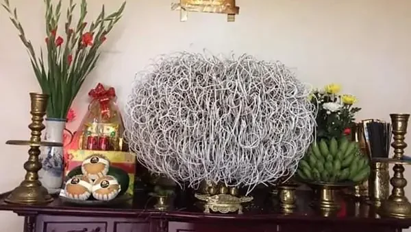 Tàn Nhang Thẳng Đứng Điềm Gì? Giải Mã Ý Nghĩa Tâm Linh Và Góc Nhìn Khoa Học