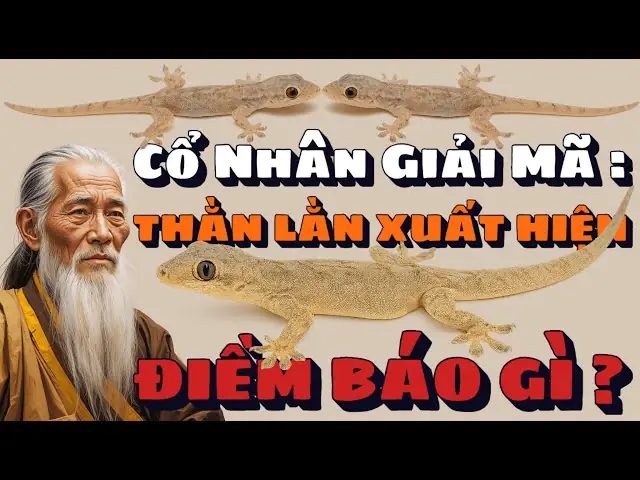 Những Điềm Báo Liên Quan Khác Khi Thằn Lằn Xuất Hiện Trong Nhà Những Điềm Báo Liên Quan Khác Khi Thằn Lằn Xuất Hiện Trong Nhà