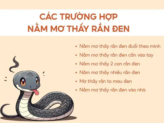 Thấy Nhện Đen Là Điềm Báo Tốt Hay Xấu Theo Quan Niệm Dân Gian?