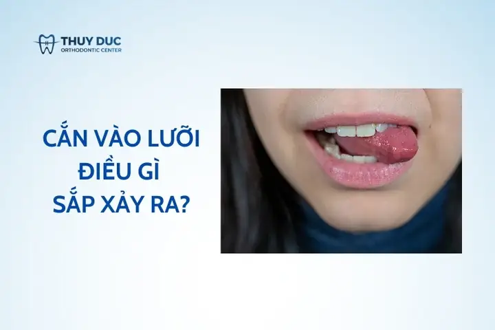 Điềm Báo Là Gì Và Nguồn Gốc Của Quan Niệm Tâm Linh Này?