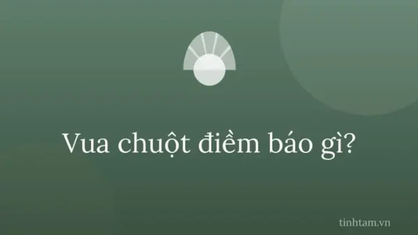 Giải Mã Hiện Tượng Vua Chuột Điềm Báo Gì Theo Quan Niệm Dân Gian