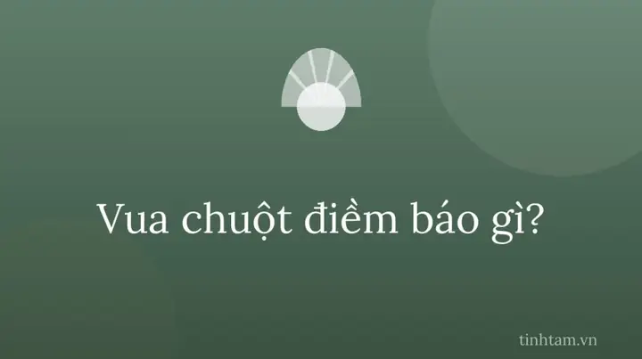 Những Hiểu Lầm Phổ Biến Nào Thường Xoay Quanh Hiện Tượng Vua Chuột? Những Hiểu Lầm Phổ Biến Nào Thường Xoay Quanh Hiện Tượng Vua Chuột?