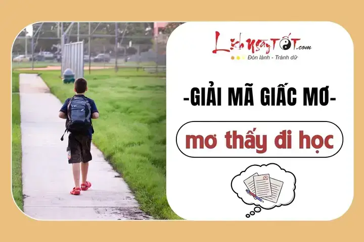 Tổng Hợp Các Giấc Mơ Liên Quan Đến Trường Học Và Đời Sống