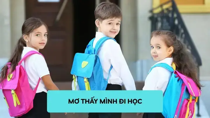 Giấc Mơ Đi Học Bị Dò Bài Phản Ánh Tâm Lý Lo Âu
