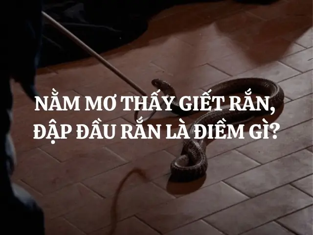 Hình Ảnh Con Rắn Tượng Trưng Cho Những Thử Thách Và Điềm Báo Chưa Được Giải Quyết Hình Ảnh Con Rắn Tượng Trưng Cho Những Thử Thách Và Điềm Báo Chưa Được Giải Quyết